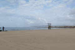 2014-0005-0427-0801-LF1