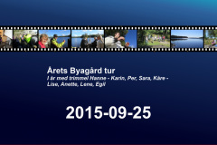 2015-0011-0925-0001-LF1