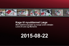 2015-0014-0822-0001-LS1