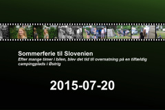 2015-0008-0719-0100-LF1