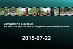 2015-0008-0722-0100-LF1