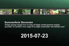 2015-0008-0723-0001-LF1