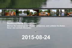 2015-0008-0724-0100-LF1