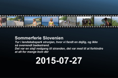 2015-0008-0727-0001-LF1
