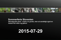 2015-0008-0729-0100-LF1