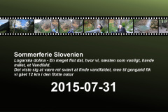 2015-0008-0731-0001-LF1