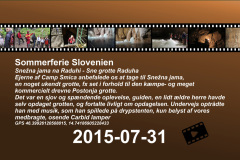 2015-0008-0731-0100-LF1