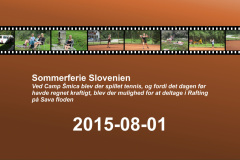 2015-0008-0801-0001-LF1