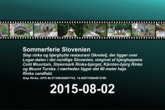 2015-0008-0802-0001-LF1