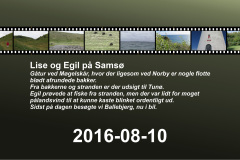 2016-0013-0810-0001-LF1