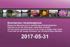 2017-0006-0531-0001-LF1