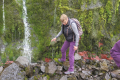 2017-0010-0725-0926-LF1