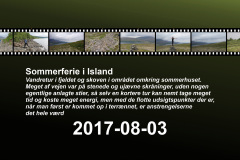 2017-0010-0803-3100-LF1