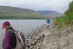 2017-0010-0803-3101-LF1