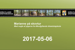 2017-0012-0506-0001-LF1
