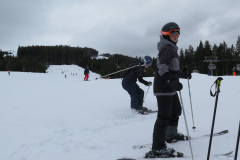 2017-0003-0305-0003-LF1