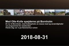 2018-0009-0831-0001-LF1