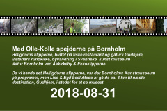 2018-0009-0901-0001-LF1