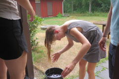 2018-0007-0801-0003-LF1
