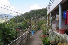 2018-0002-0415-0022-LF1