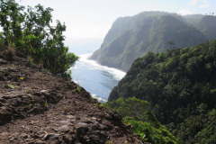 2018-0002-0416-0016-LF1