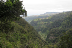 2018-0002-0416-0028-LF1