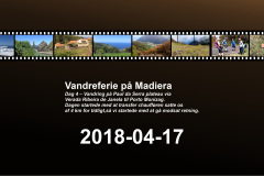 2018-0002-0417-0001-LF1
