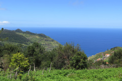 2018-0002-0417-0037-LF1