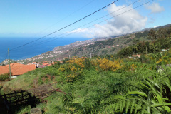 2018-0002-0419-0014-LF1
