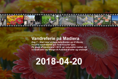 2018-0002-0420-0001-LF1