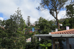 2018-0002-0420-0014-LF1