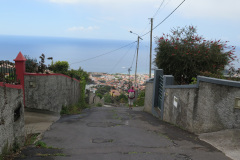 2018-0002-0420-0024-LF1