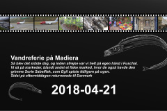 2018-0002-0421-0001-LF1