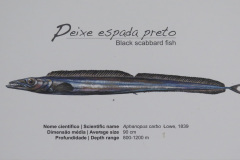 2018-0002-0421-0014-LF1