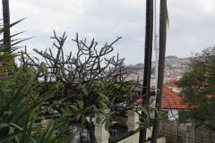 2018-0002-0421-0020-LF1