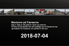 2018-0005-0704-0001-LF1