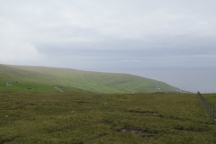 2018-0005-0706-0003-LF1