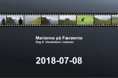 2018-0005-0708-0001-LF1