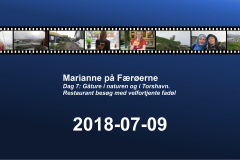 2018-0005-0709-0001-LF1