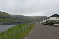 2018-0005-0709-0002-LF1