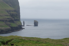 2018-0005-0709-0014-LF1