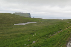 2018-0005-0709-0029-LF1
