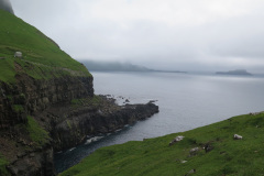 2018-0005-0712-0026-LF1