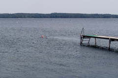 2018-0008-0808-0030-LF1