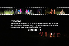 2019-0008-0914-0001-LF1