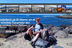 2019-0002-0331-0001-LF1