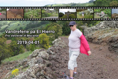 2019-0002-0401-0001-LF1