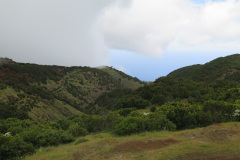 2019-0002-0401-0040-LF1