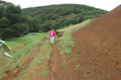 2019-0002-0401-0045-LF1