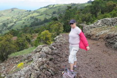 2019-0002-0401-0050-LF1
